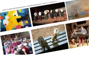 À la découverte des chouettes