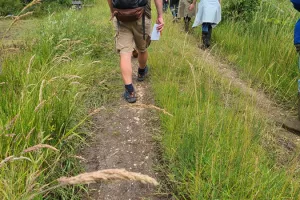 Randonnée pédestre