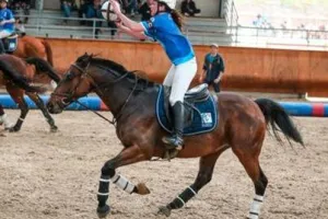 Tournoi de Horse-ball