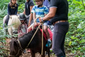 Eté actif - balade à poney