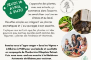 Atelier famille : balade, cuillette et cuisine