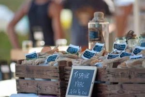 L'été des Simples, 7ème édition