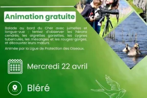 Visites nature au bord du Cher par la Ligue de Protection des Oiseaux