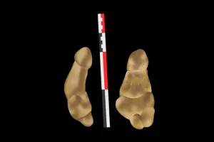 Anachronique paléolithique ! Portrait #02 Gwen