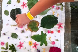 Mercredi Créatif "Tataki zomé"