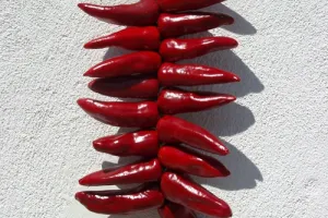 Les Rendez-vous de la Boutique : L'Atelier du Piment