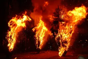 Crémation des trois sapins