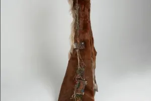 Gloria Friedmann - Splendeurs et extinction de la nature