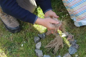 Petits Aventuriers à Terres d'Oiseaux