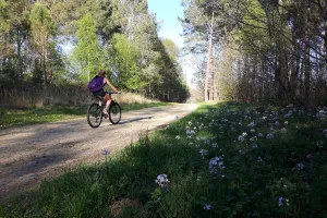 RANDO VELO DECOUVERTE