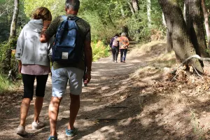 Balade sensorielle et immersive en forêt