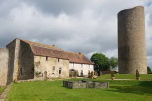 Cerf-volant - Châteaux en fête