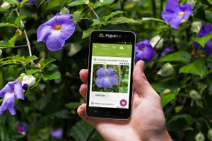 L'ABC DU HAUT-MINERVOIS - CONFERENCE SUR LA FLORE