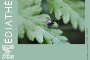 Rencontre : Prévention des piqûres de tiques