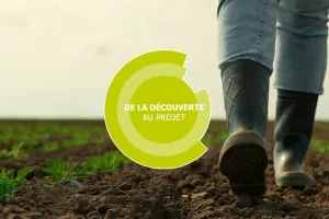 De la découverte au projet - Paysage/Végétal - CFPPA Nantes-Terre-Atlantique, Saint-Herblain (44)