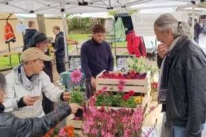 MARCHÉ DU PRINTEMPS