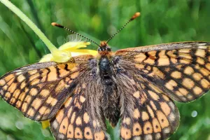 Rando découverte du site des prairies humides de la Fond du  Loup