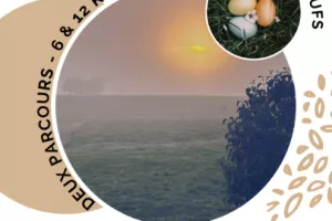 Randonnée et chasse aux oeufs