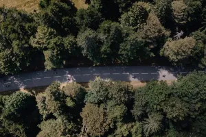 Col'Attitude : Hartmannswillerkopf - Col du Silberloch