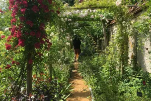 Atelier Entretenir les Vivaces