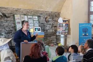 La ruche, les abeilles et l'apiculture - Château en fête