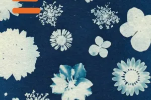 Atelier cricut et cyanotype