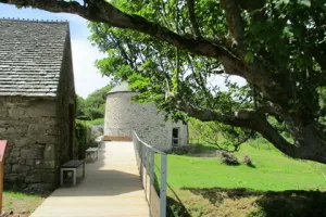 Atelier nature (3-5 ans) : l'arbre dans tous ses états