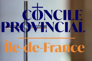Concile Provincial, Consultation paroissiale