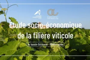 Webinaire : Etude socioéconomique de la filière viticole Occitanie -Méditerranée