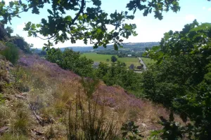 Les légendes de Suisse normande