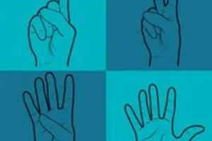 Découverte langue des signes