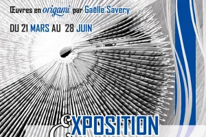 Métamorphose, l'art du pli