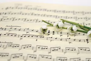 Concert - 2 chorales