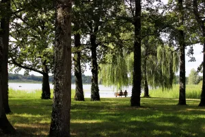 Escapades nature : À l’observatoire jusqu’au crépuscule