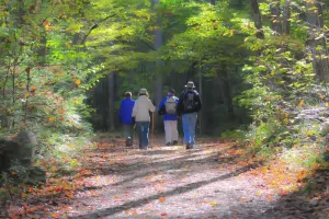 Sortie avec le Club Vosgien du Kochersberg : Col de Valsberg, Dabo
