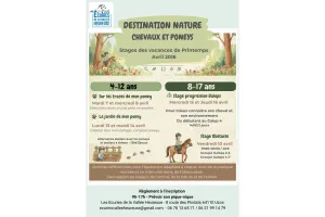 Stage équitation"Destination nature - Chevaux et poneys"
