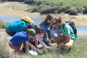 Plage, coquillages et farfouillage