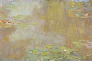 Les incontournables ! (+ 6 ans)