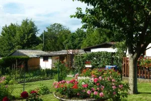 Visite guidée : Balade dans le Haut Rebberg