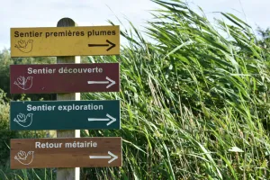 Fête de la nature - Portes Ouvertes à Terres d'Oiseaux