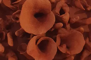 Journées Européennes des Métiers d'Art : exposition Terre à Cœurs - Cécile Laissus