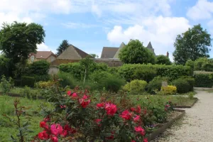 Journée découverte : "La rose dans tous ses états"