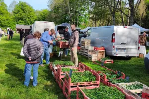 Marché de printemps aux Hayes