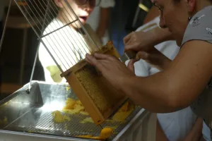 Fête du Miel à Terres d'Oiseaux