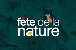 Fête de la nature : les reptiles