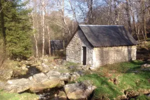 Projection et deébat sur le thème des abeilles