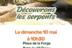 Découvrons les serpents