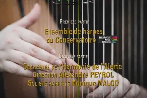Concert céleste "Quand les cordes vibrent en harmonie"