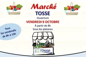 Marché traditionnel