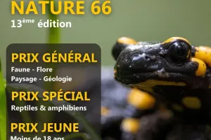 CONCOURS PHOTO DÉCLIC NATURE